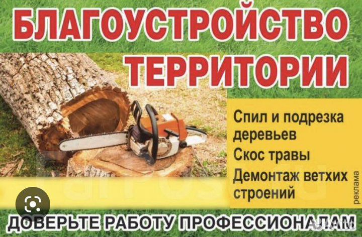Спил Деревьев