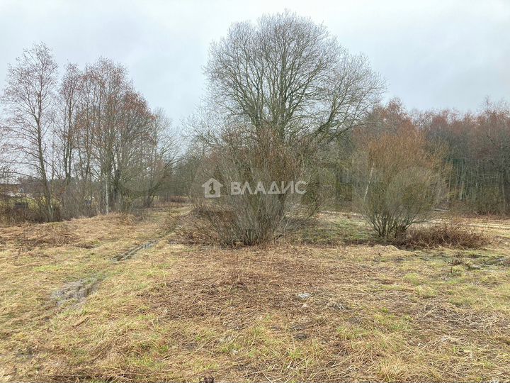 Участок 18,6 сот. (ИЖС)