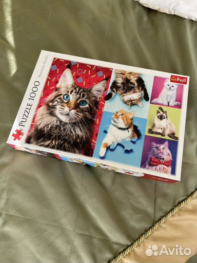 Пазлы котята 1000 шт