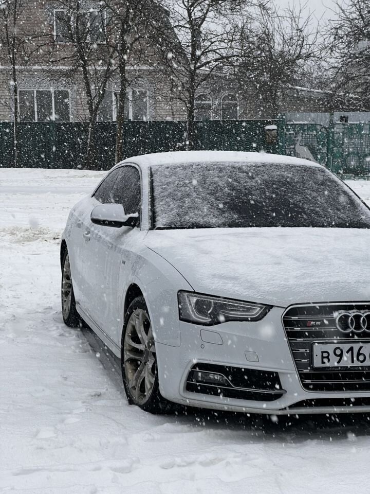 Audi S5: фото из отзыва