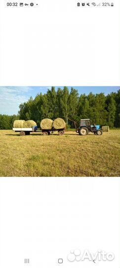 Сено в тюках
