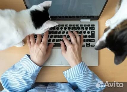 Работа из дома от 6 ч. Нет продаж. Офиц. Оператор