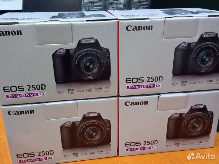 Зеркальный фотоаппарат canon 250d kit
