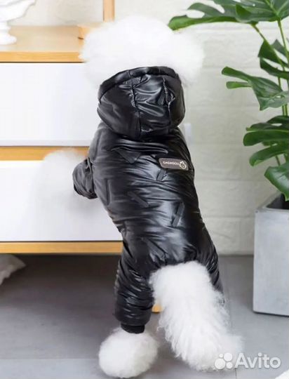 Одежда для маленьких собак