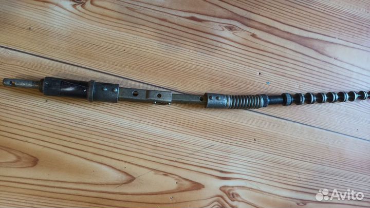 Антена куликова