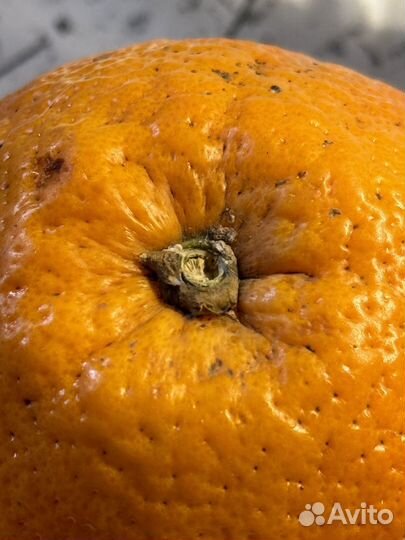 Kase master macro lens pro линза для телефона