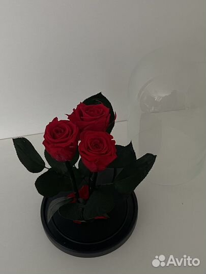 Долговечная Роза в колбе Трио