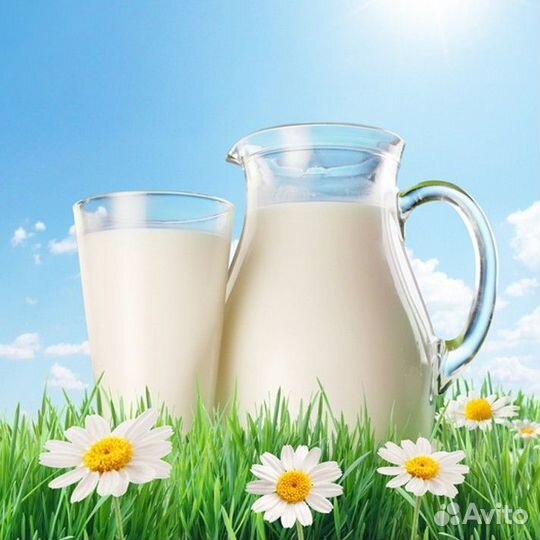 Молоко