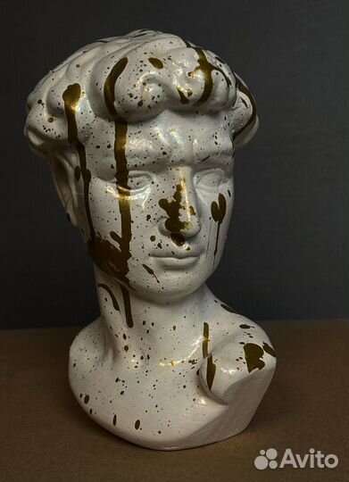 Гипсовый бюст Давида