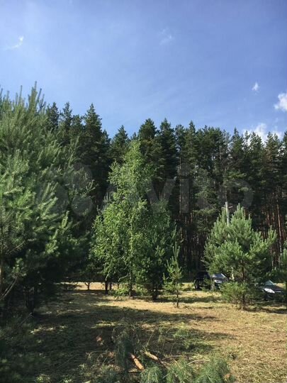 Участок 62 сот. (СНТ, ДНП)