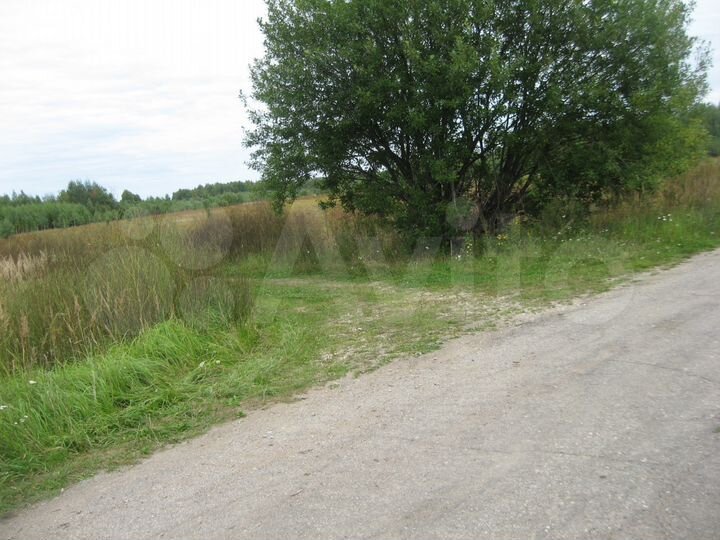 Участок 40 га (СНТ, ДНП)