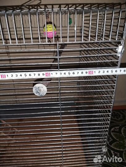 Клетка для крупного попугая