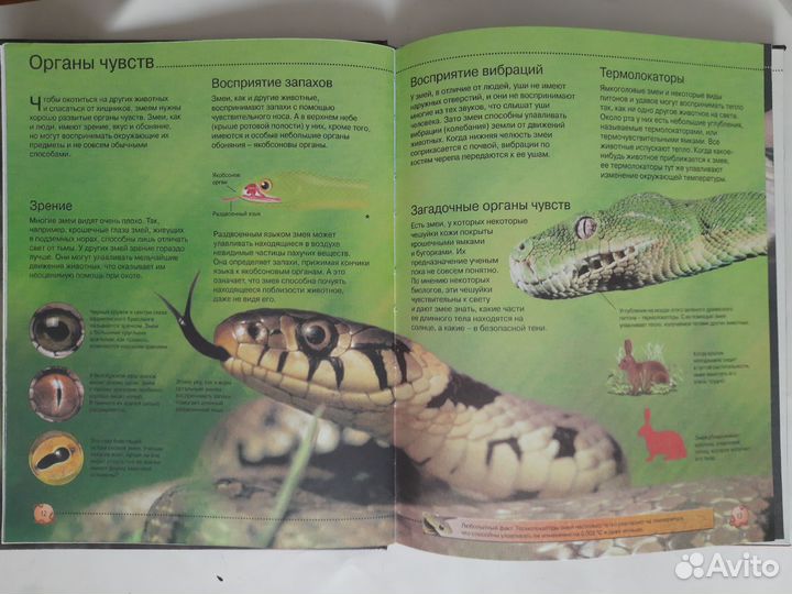 Змеи. Энциклопедия