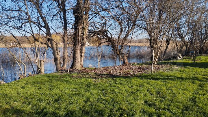 Участок 5 га (СНТ, ДНП)