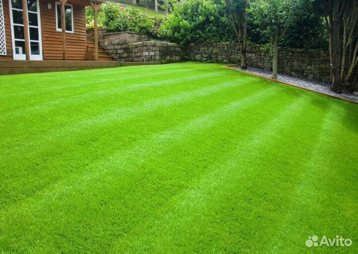 Рулонный газон с укладкой под ключ
