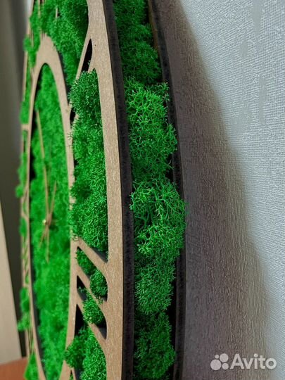 Часы со мхом