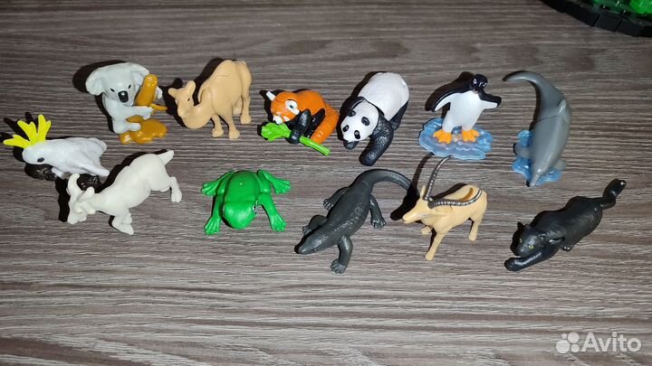 Kinder Natoons 2023/24