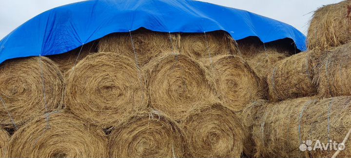 Сено в рулонах