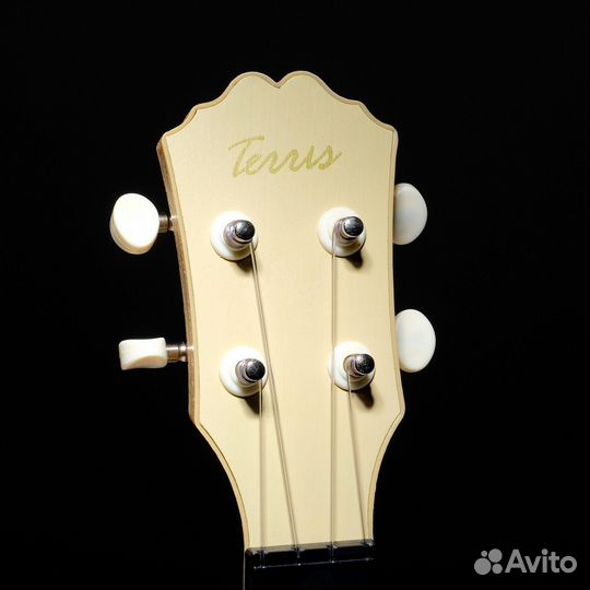 Укулеле сопрано Terris + Аксессуары
