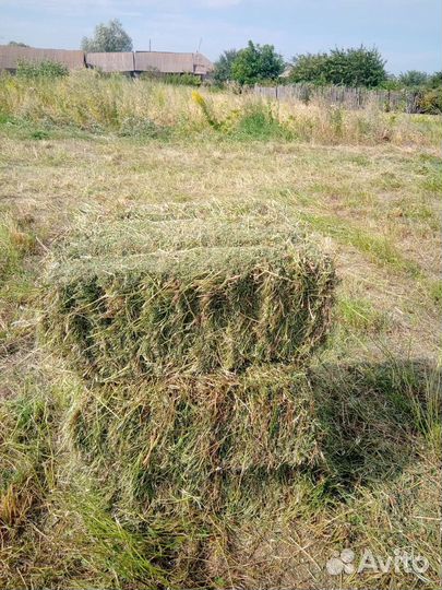 Сено и солома