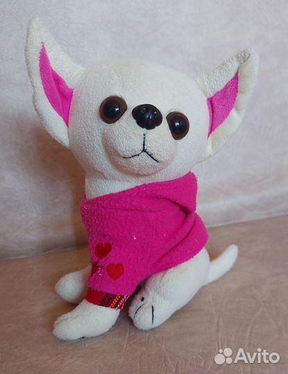 Собачка Чичилав