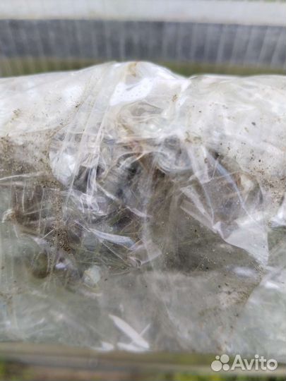 Форточка для теплицы