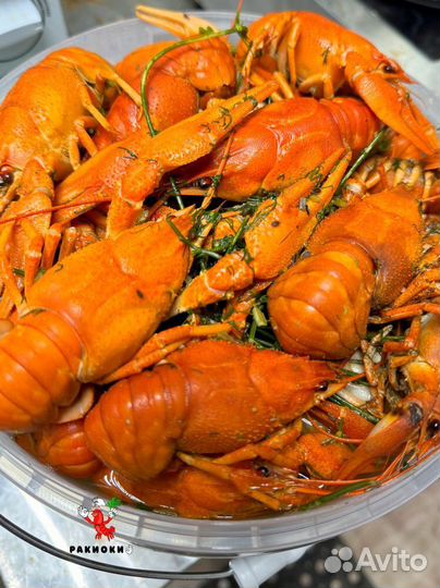 Саратовские раки юао