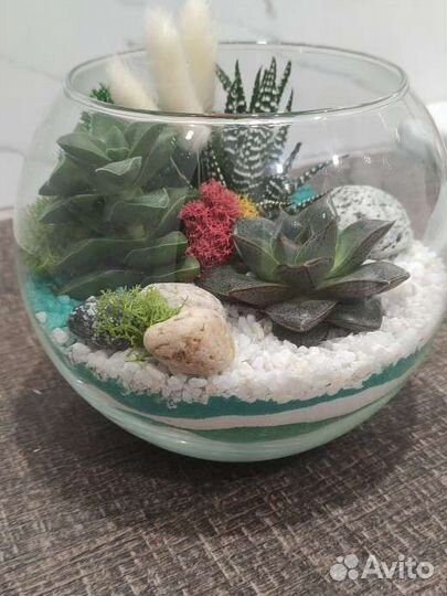 Флорариум, суккуленты