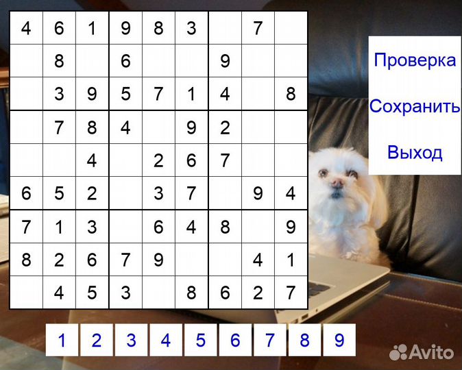 Начинающий программист (стажер)