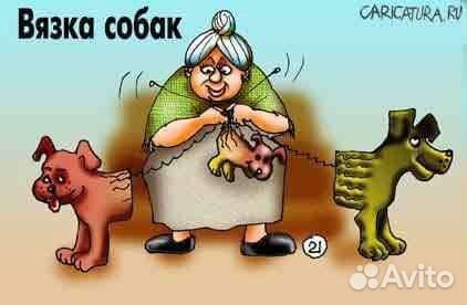 Инструктор по вязке собак