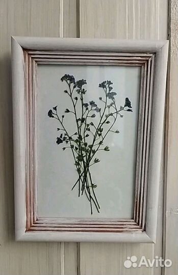 Гербарий. Картина. Цветы