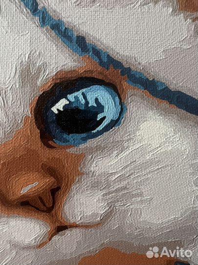 Картина по номерам котенок