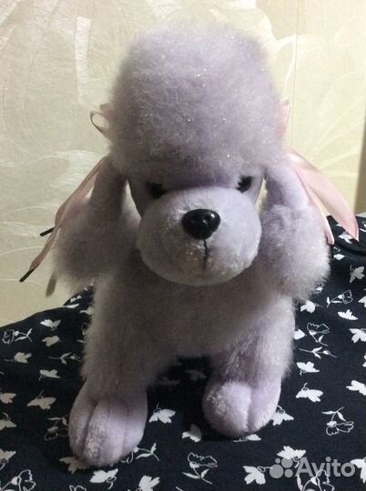 Собака в добрые руки)и лежанка для собак