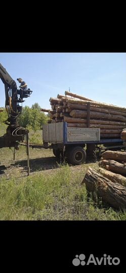 Лес кругляк сосна пиловочник