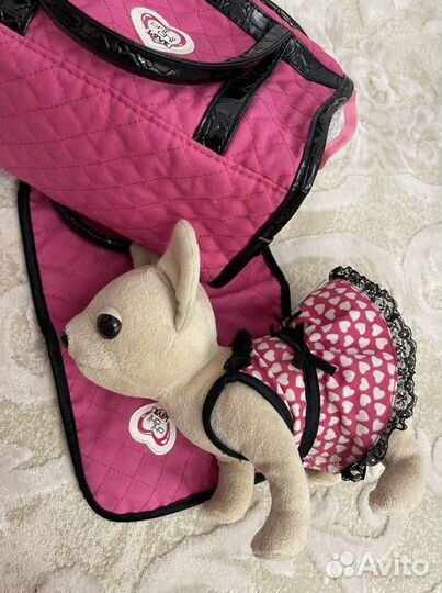 Собачка Чичилав оригинал