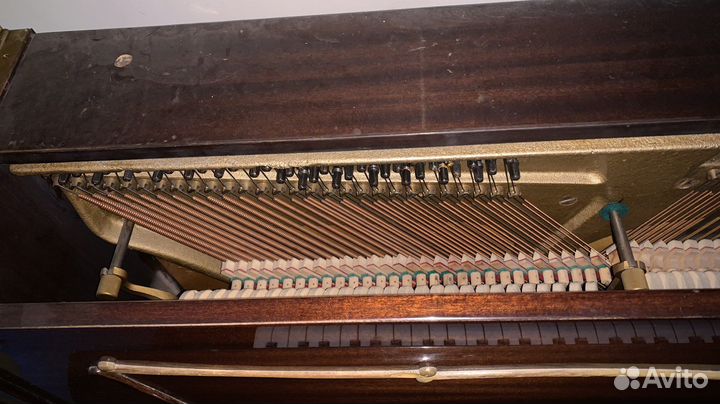 Фортепиано Рениш