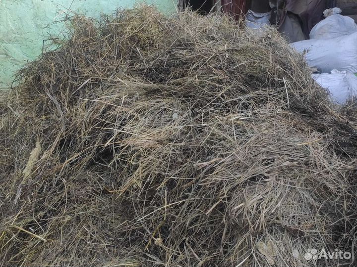 Сено на грядки бесплатно самовывоз