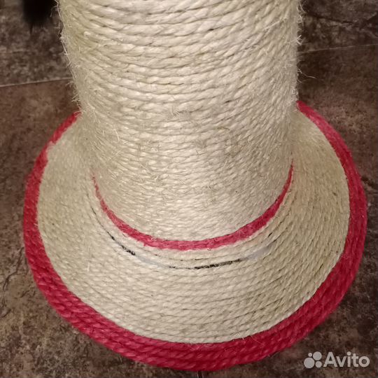 Когтеточка