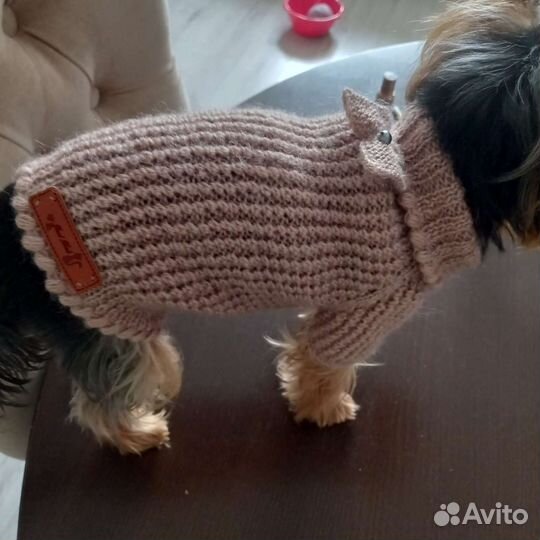 Вязаная одежда для маленьких пород собачек