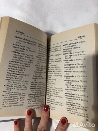 Русско-чешский словарь