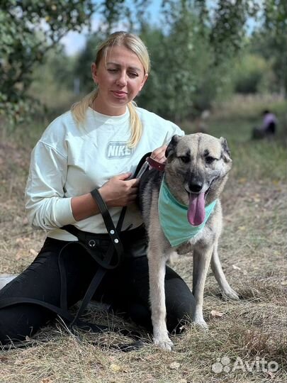 Девочка из приюта В поиске дома