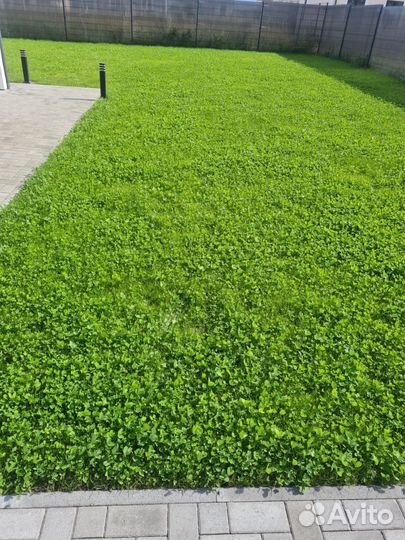 Благоустройство территории