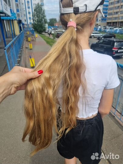 Скупка волос. Купим волосы. Приём волос