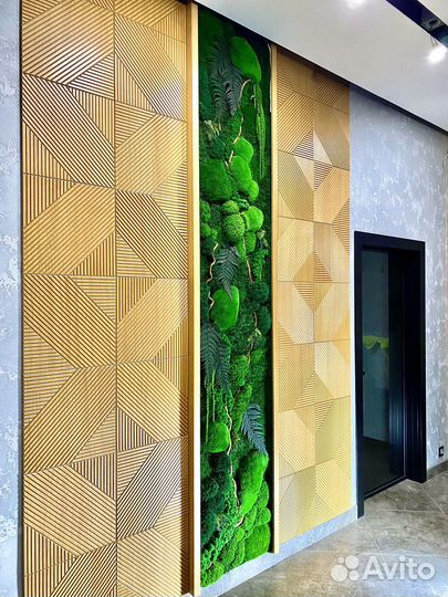 Мох, Вертикальное Озеленение. Ягель. Кочки