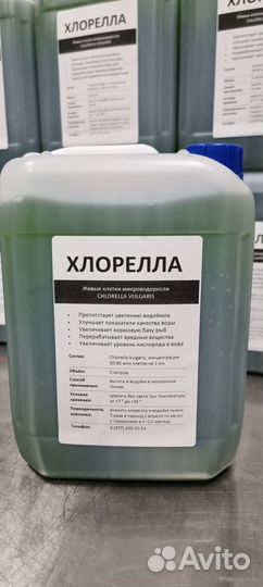 Хлорелла для водоемов