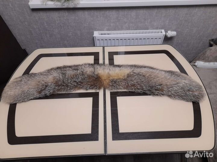 Шкура песца