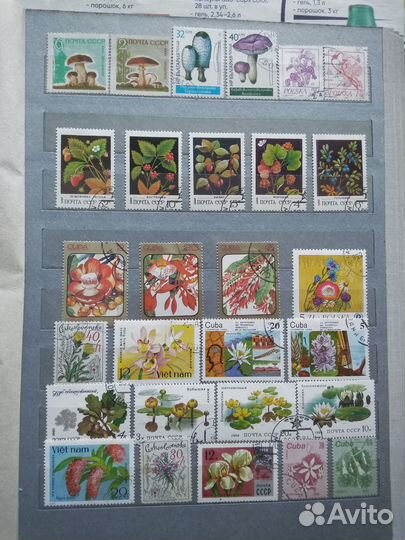 Флора. Почтовые марки