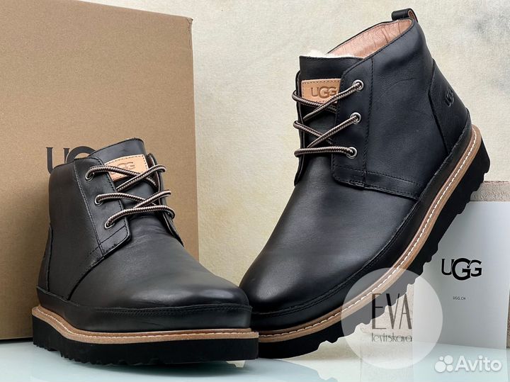 Ботинки мужские Ugg Mens Gentleman Leather Black