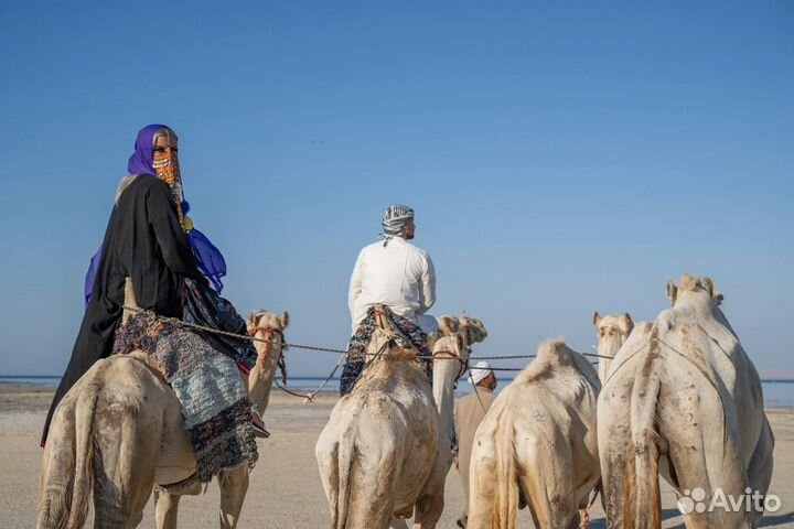 Шарм-эль-Шейх Топ-Экскурсия Индивидуальное сафари