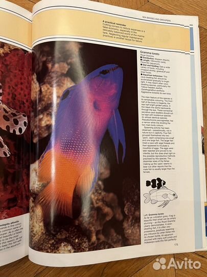 Книга The Marine Aquarium